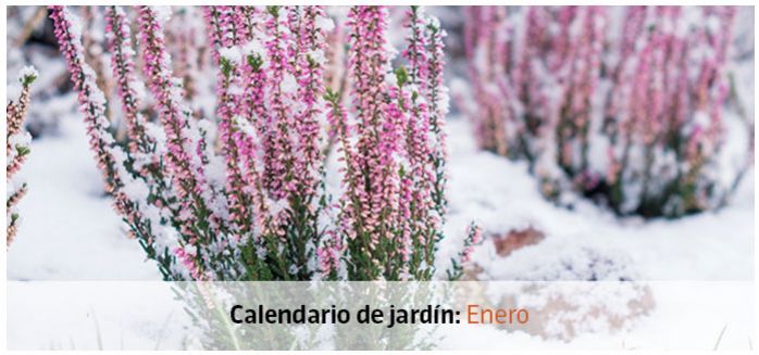 calendario jardin enero