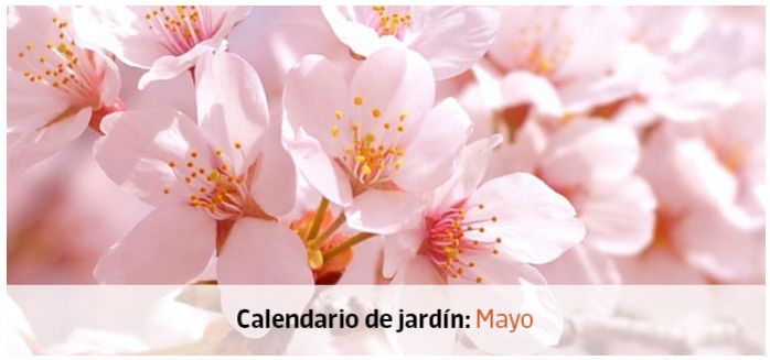 calendario jardin mayo