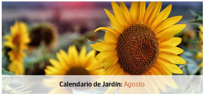 calendario jardin agosto