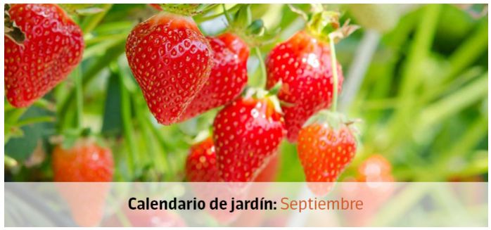 calendario jardin septiembre