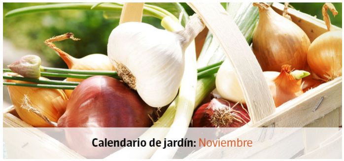 calendario jardin noviembre