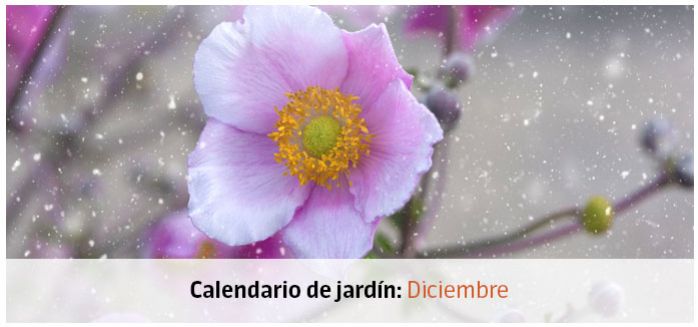 calendario jardin diciembre