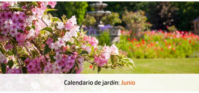 calendario jardin JUNIO