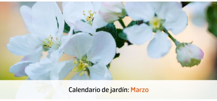 calendario jardin MARZO